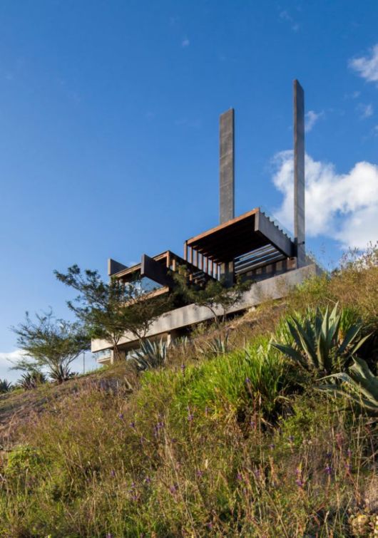 Beautiful On The Moutains Of Puembo, Ecuador