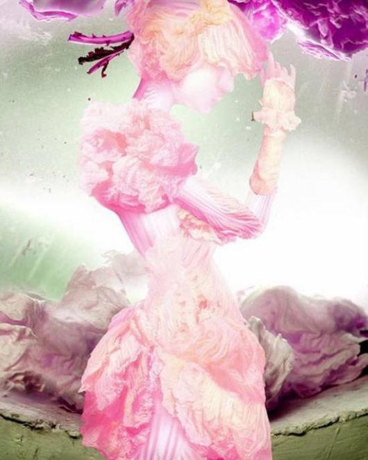 Amazing Art Of Cabbage