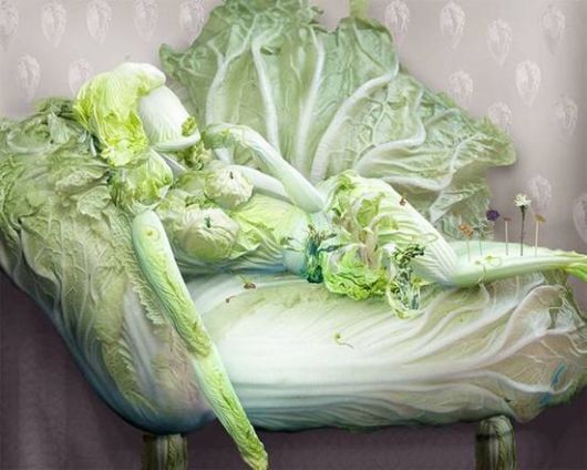 Amazing Art Of Cabbage
