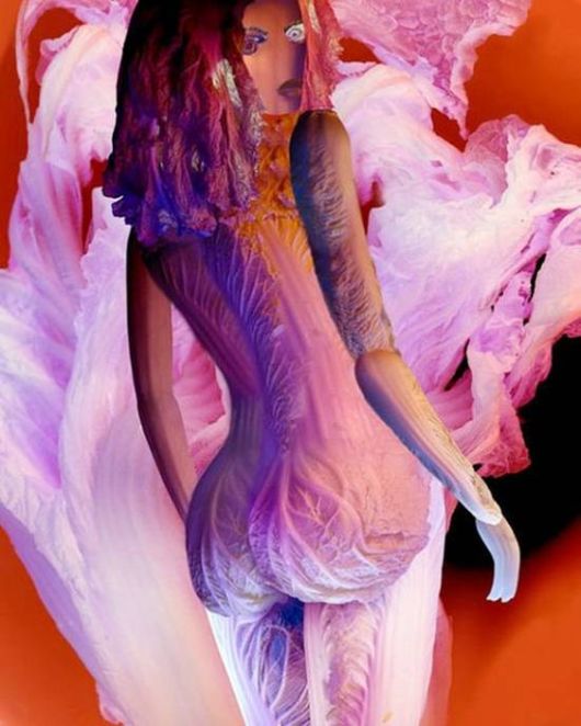 Amazing Art Of Cabbage