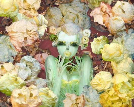 Amazing Art Of Cabbage