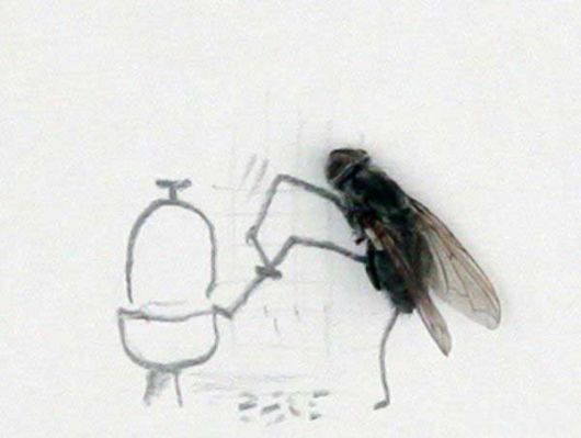 Making Art with Dead Flies