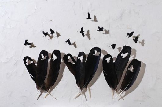 Meticulous Feather Art By Chris Maynard