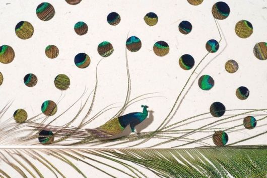 Meticulous Feather Art By Chris Maynard