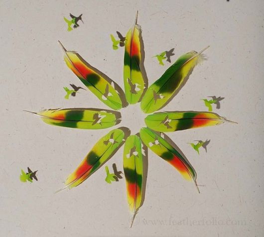 Meticulous Feather Art By Chris Maynard