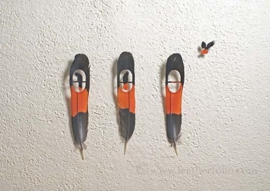 Meticulous Feather Art By Chris Maynard