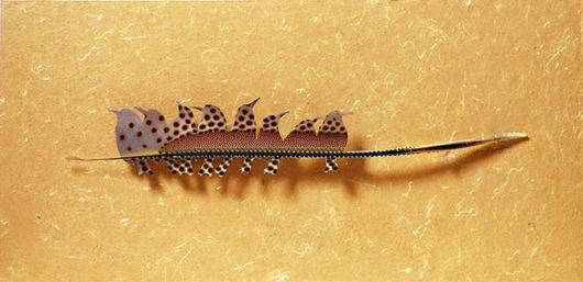 Meticulous Feather Art By Chris Maynard