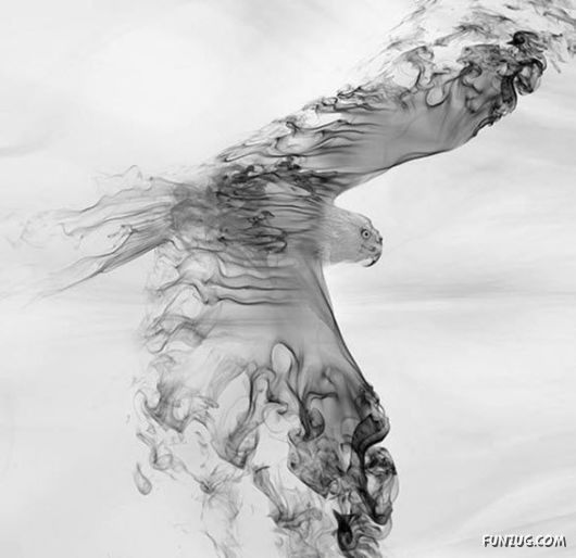 Most Amazing Smoke Art