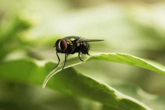 10 Creepy Facts Might Give You Nightmares