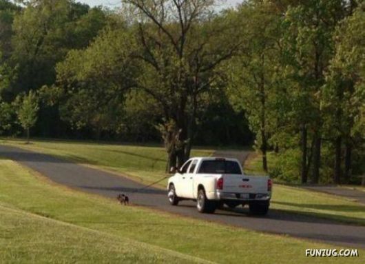 Lazy? Whatever Dude!