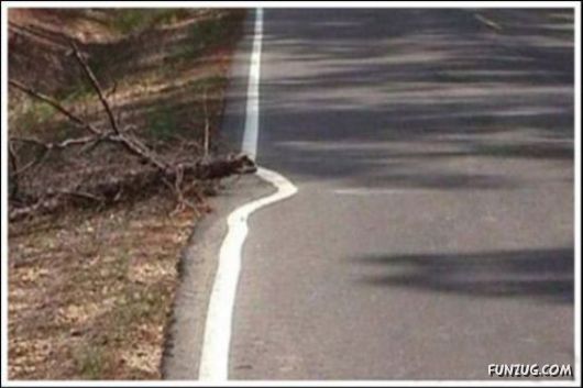 Lazy? Whatever Dude!