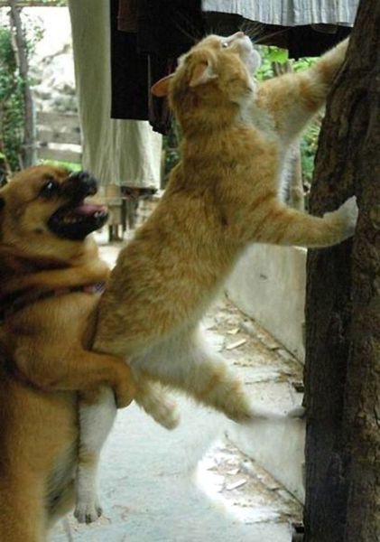 Need A Bit Of Help Hilarious Pictures