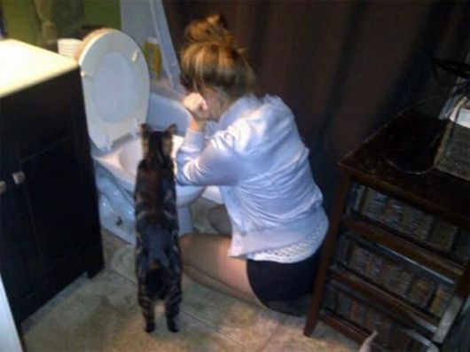 Need A Bit Of Help Hilarious Pictures