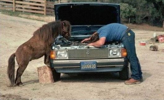 Need A Bit Of Help Hilarious Pictures