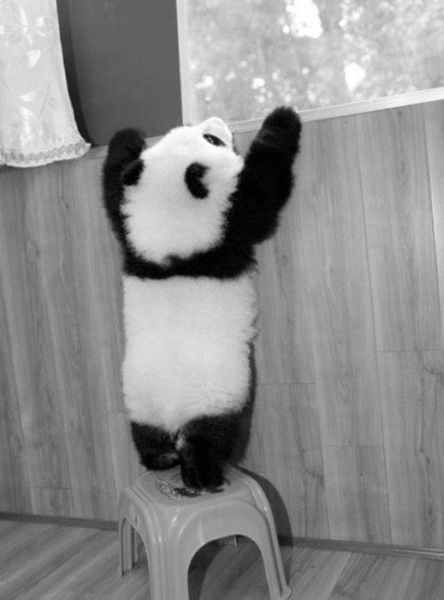 Need A Bit Of Help Hilarious Pictures