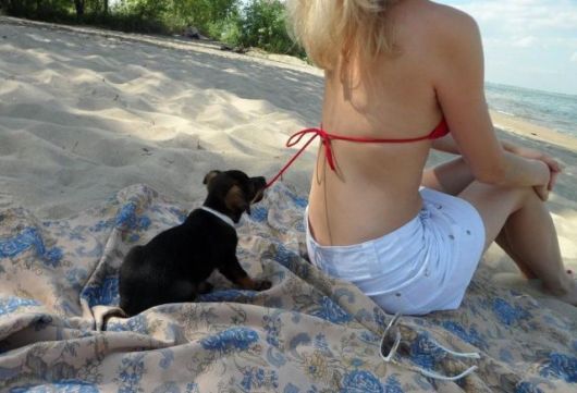 Need A Bit Of Help Hilarious Pictures