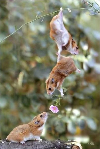 Need A Bit Of Help Hilarious Pictures