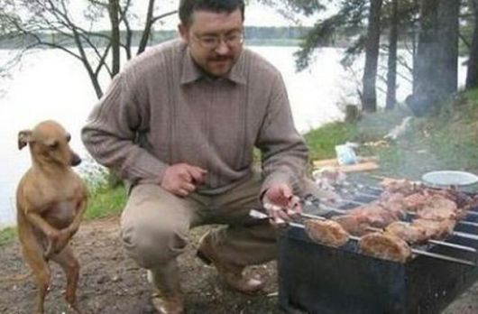 Need A Bit Of Help Hilarious Pictures