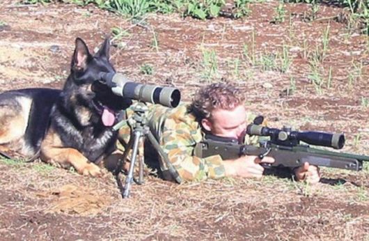 Need A Bit Of Help Hilarious Pictures