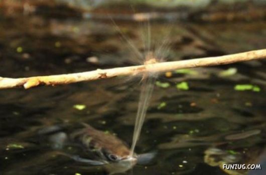 Thats Smart, Thats All That Is