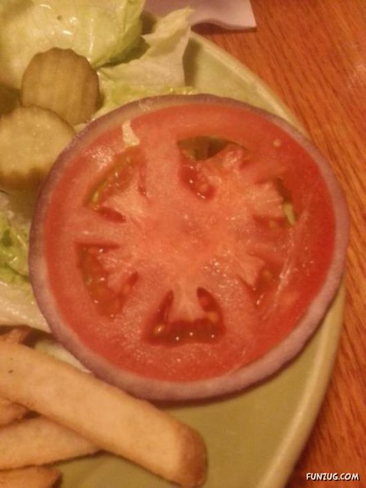 Things Fitting Into Other Things Perfectly