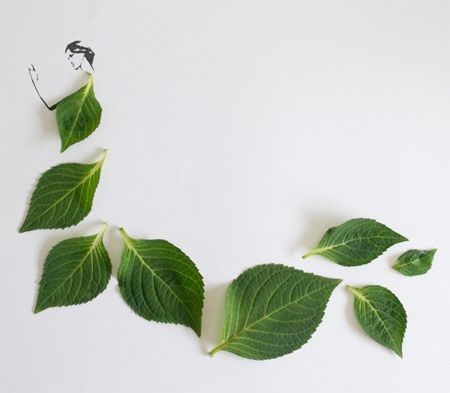 Amazing Creativity Using Leaves