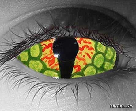 Stylish Fashionable Eye Lenses