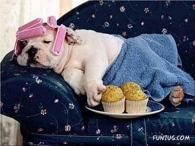 First n Last Days of The Month