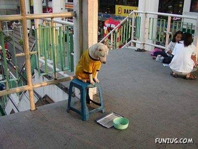 First n Last Days of The Month