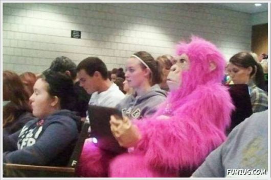 College & School Days Fun