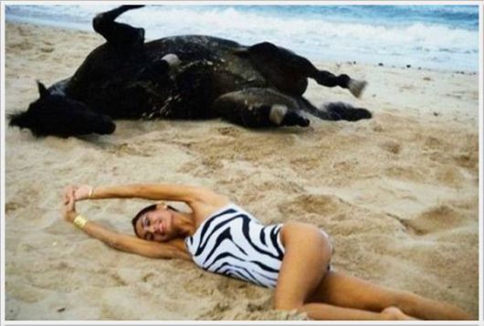 Cool Daily Pictures Fun