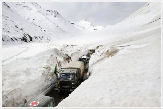 Cool Daily Pictures Fun