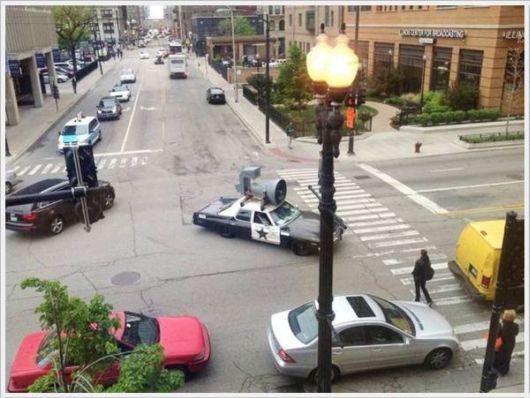 Cool Daily Pictures Fun