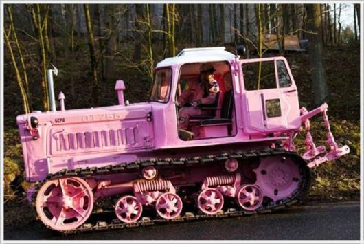 Cool Daily Pictures Fun