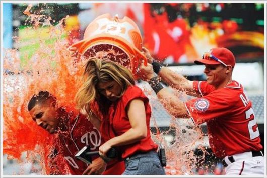 Cool Daily Pictures Fun