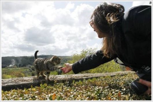 Cool Daily Pictures Fun