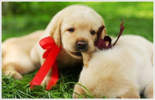 Cool Daily Pictures Fun