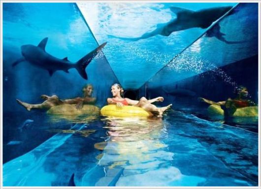 Cool Daily Pictures Fun