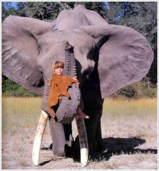 Cool Daily Pictures Fun