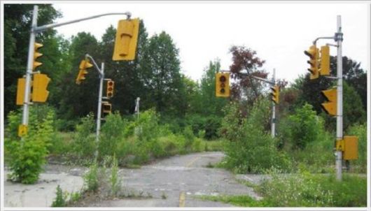 Cool Daily Pictures Fun