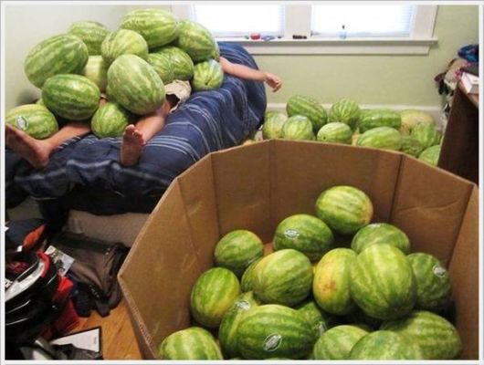 Cool Daily Pictures Fun