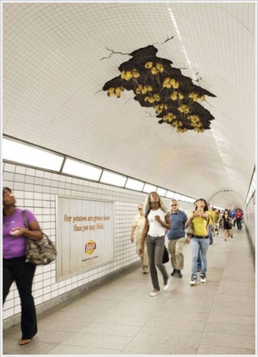 Cool Daily Pictures Fun