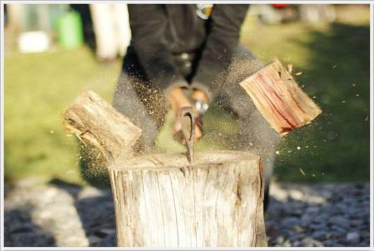 Cool Daily Pictures Fun