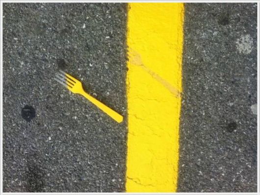 Cool Daily Pictures Fun