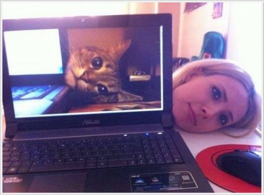 Cool Funny Images Of The Day