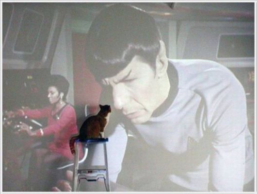 Cool Funny Images Of The Day