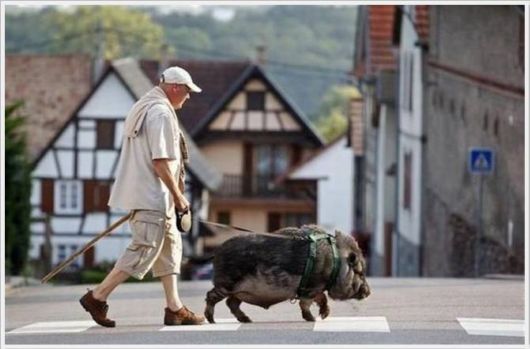 Cool Funny Images Of The Day