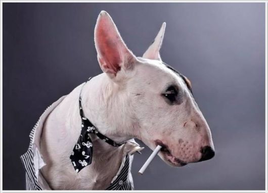 Cool Funny Images Of The Day