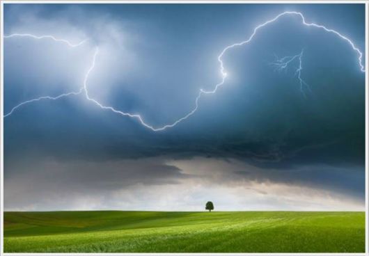 Cool Funny Images Of The Day