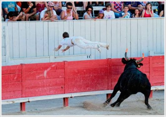 Cool Funny Images Of The Day